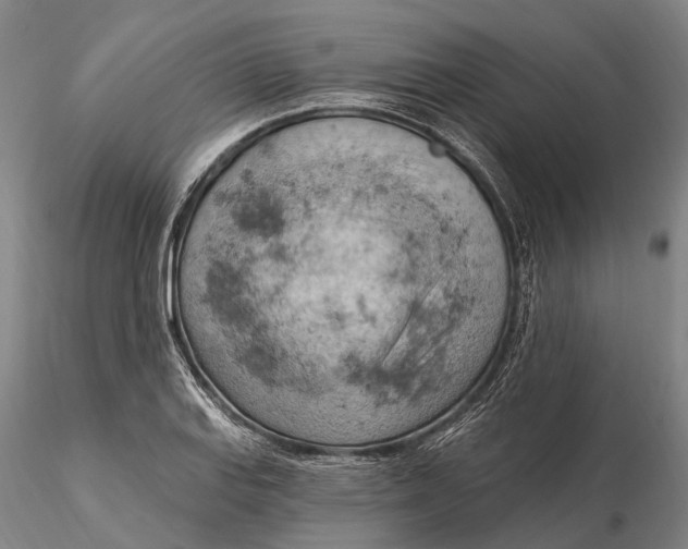 X0000115591127200912011456