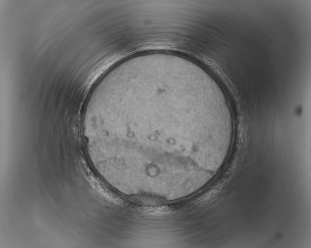 X0000115591129200912011456