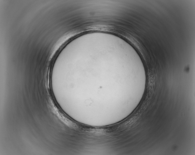 X0000115591131200912011456