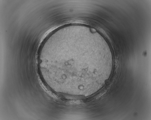 X0000115591133200912011456
