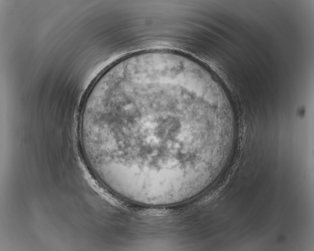 X0000115591134200912011456