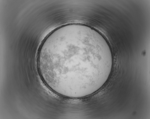 X0000115591135200912011456