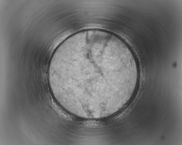 X0000115591137200912011456