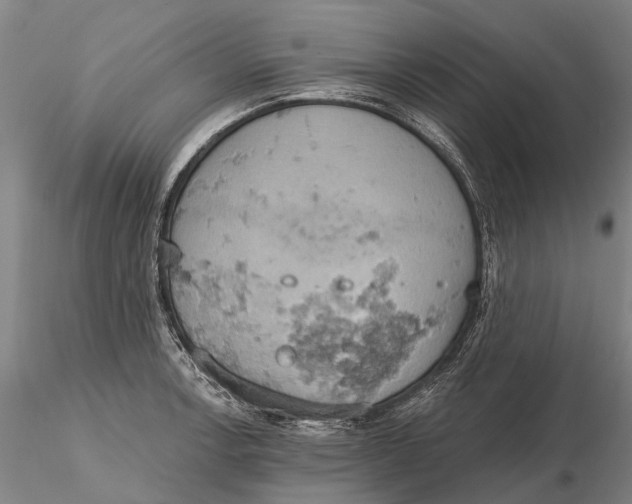 X0000115591138200912011457