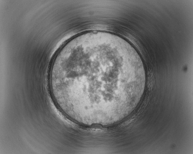 X0000115591139200912011457