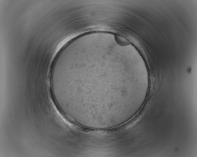 X0000115591141200912011457