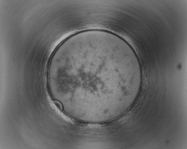 X0000115591142200912011457