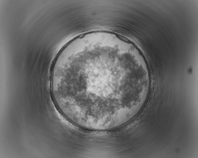 X0000115591143200912011457