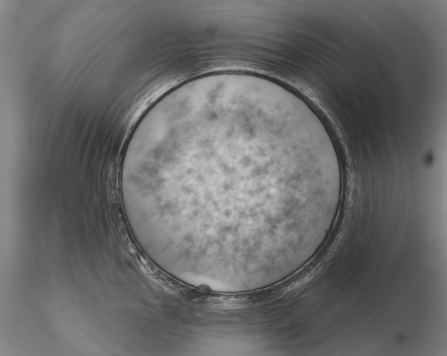 X0000115591145200912011457