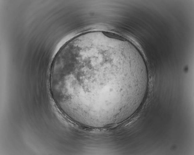 X0000115591146200912011457