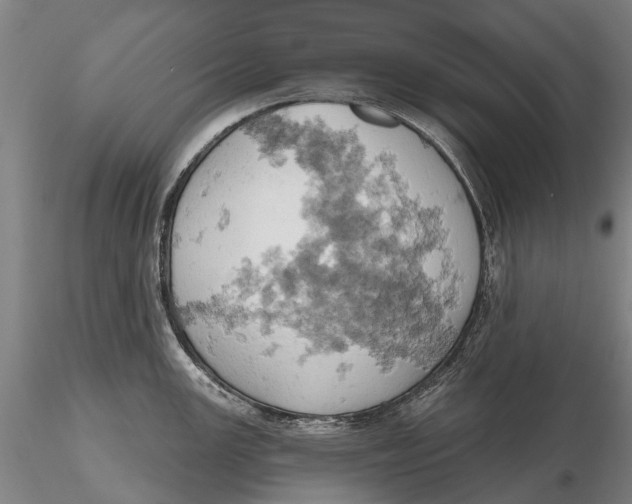 X0000115591147200912011457