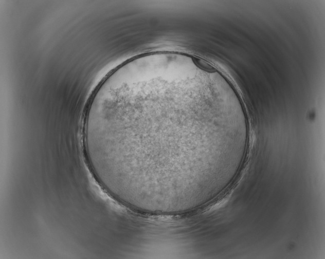 X0000115591149200912011457
