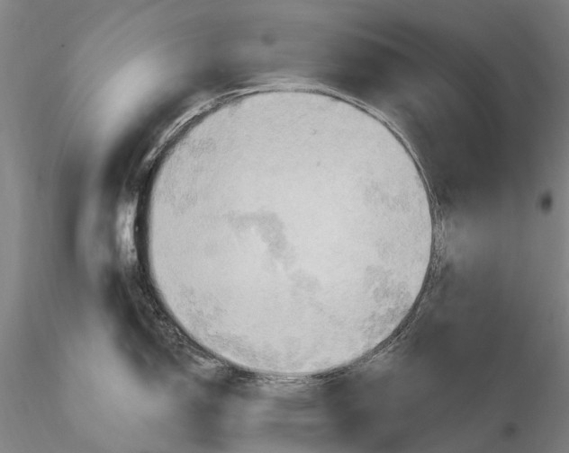X0000115591150200912011457