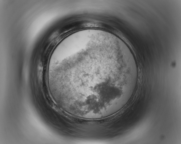 X0000115591151200912011457