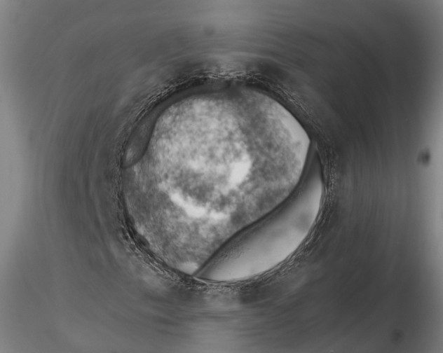 X0000115591153200912011456