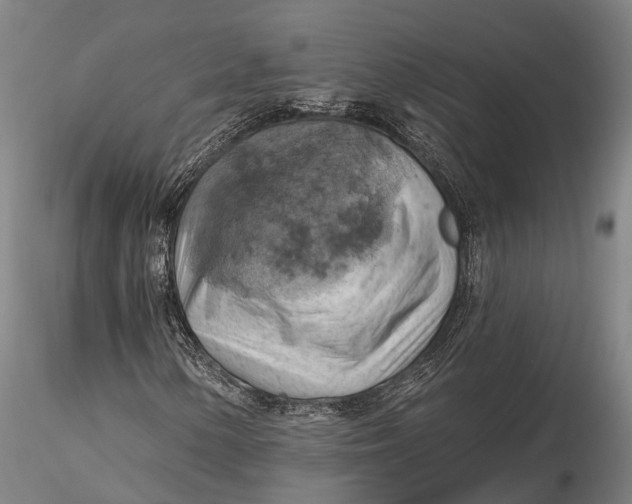 X0000115591154200912011456