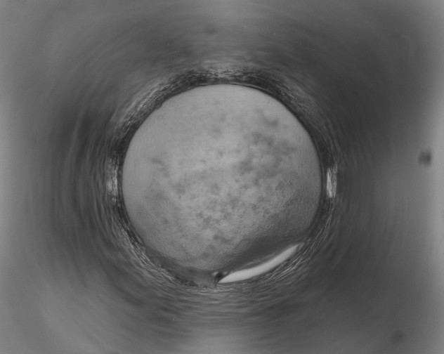 X0000115591155200912011456