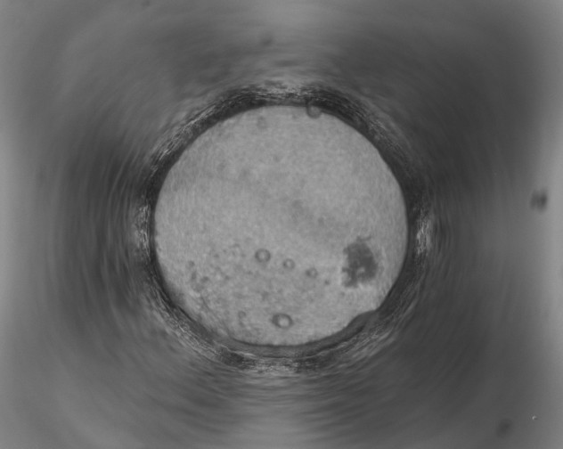 X0000115591156200912011456