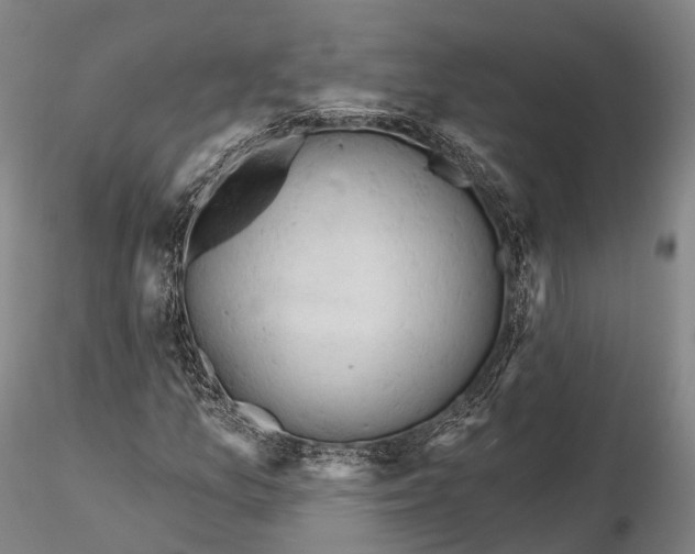 X0000115591157200912011456