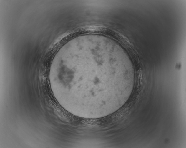 X0000115591158200912011456