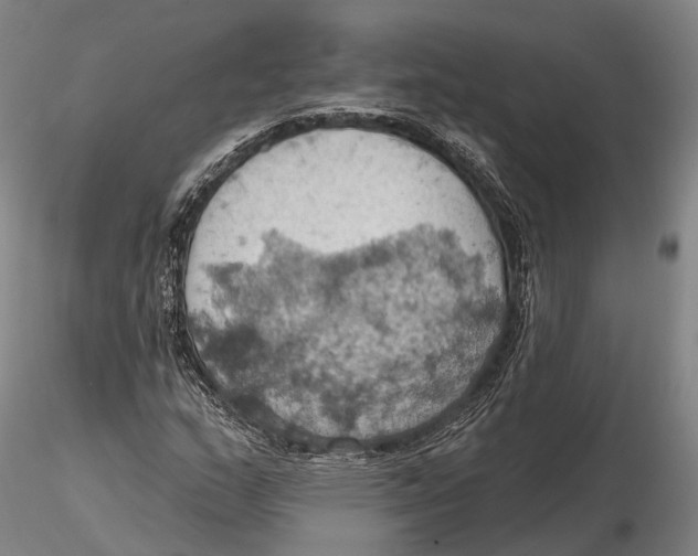 X0000115591159200912011456