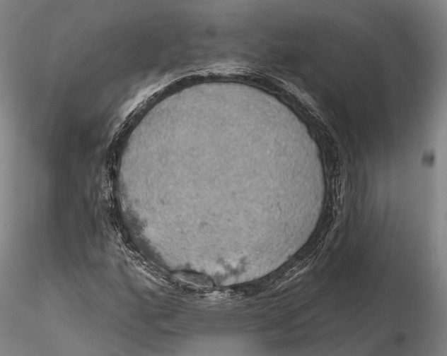 X0000115591160200912011456