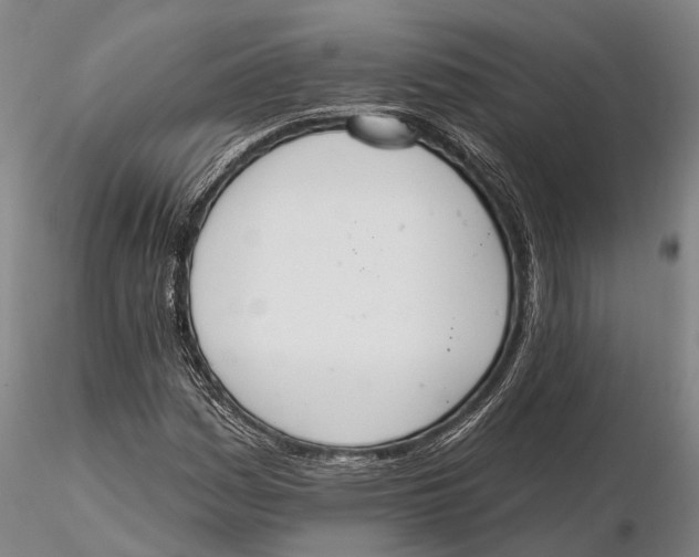 X0000115591161200912011456