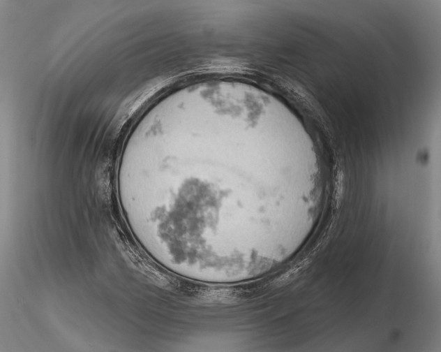 X0000115591162200912011456