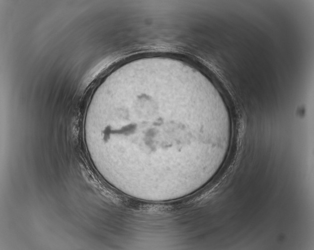 X0000115591163200912011456