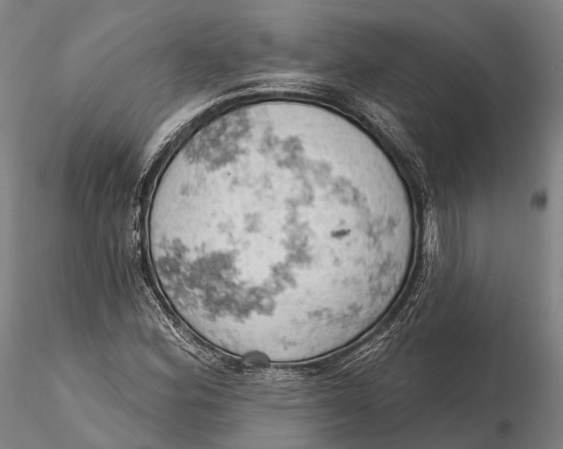 X0000115591164200912011456