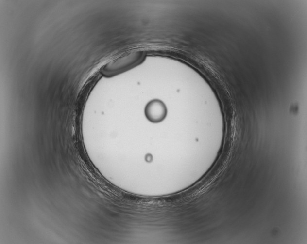 X0000115591165200912011456