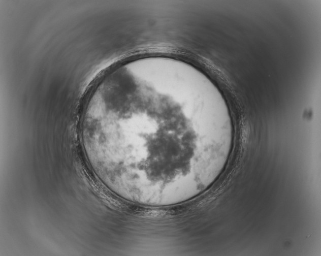 X0000115591166200912011456