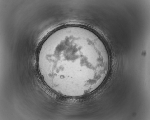 X0000115591167200912011456