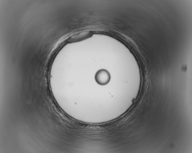 X0000115591168200912011456