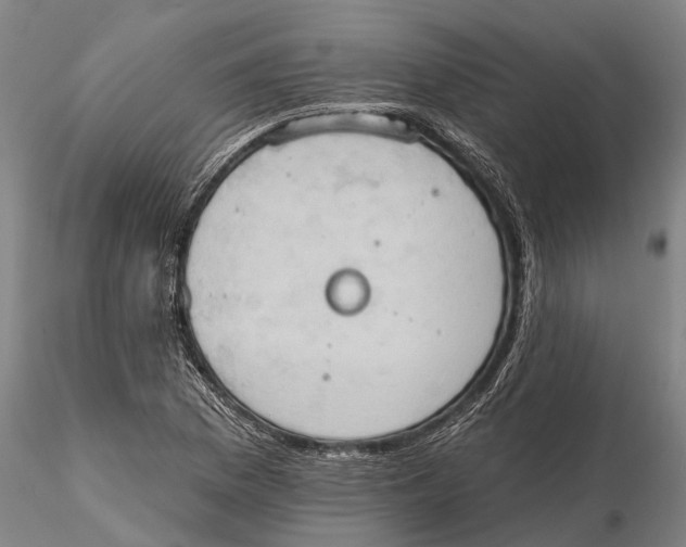 X0000115591169200912011456