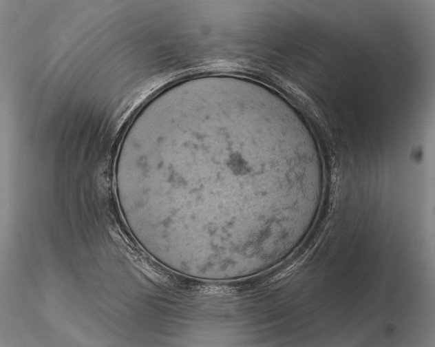 X0000115591170200912011456
