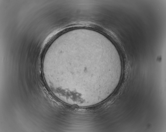 X0000115591172200912011456