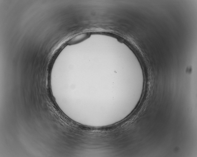 X0000115591173200912011456