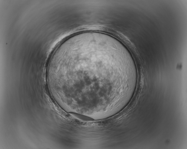 X0000115591174200912011456