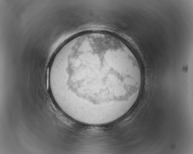 X0000115591175200912011456
