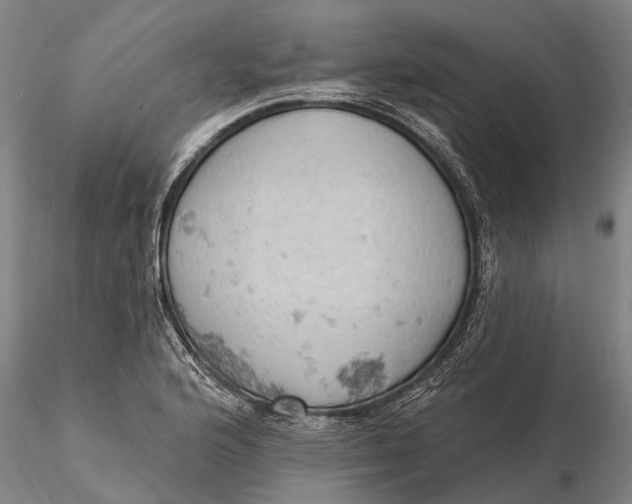 X0000115591176200912011456