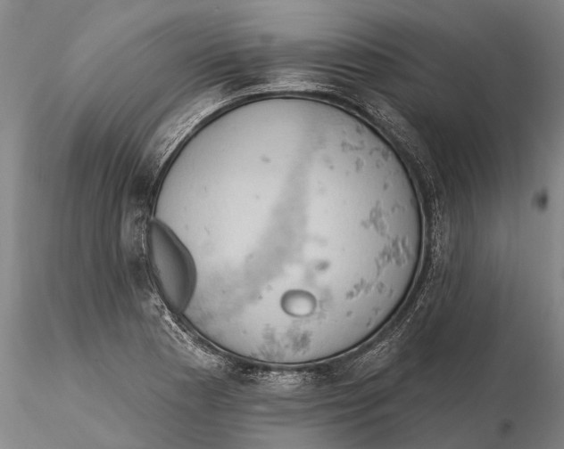 X0000115591177200912011456