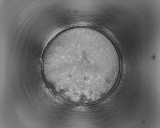 X0000115591178200912011456