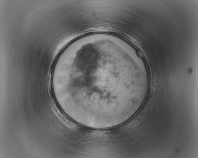 X0000115591179200912011456