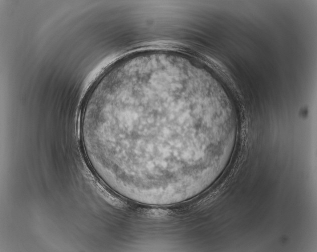 X0000115591180200912011456