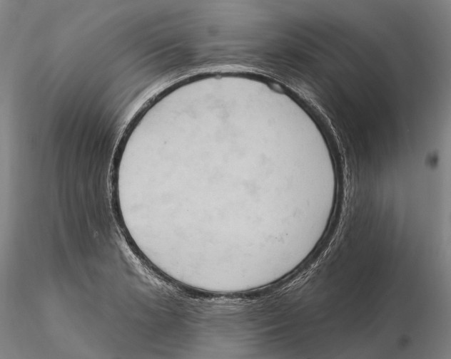X0000115591181200912011456