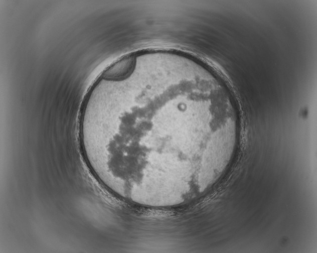 X0000115591183200912011456