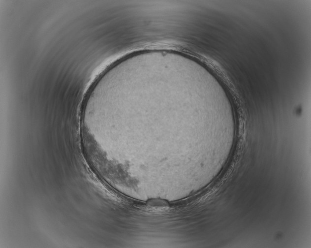 X0000115591184200912011456