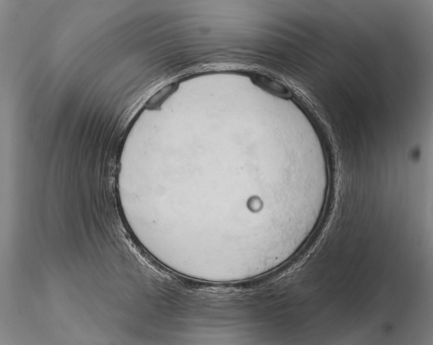 X0000115591185200912011456