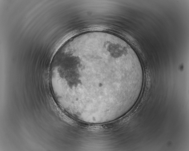 X0000115591186200912011456